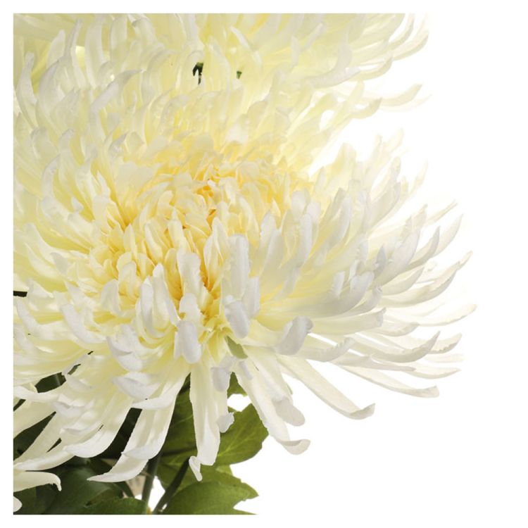 Bukiet sztucznych chryzantem kremowych 55 cm z siedmioma kwiatami dekoracyjny do wiązanek i kompozycji – zdjęcie 2