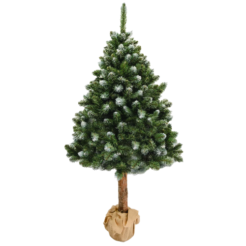 Choinka sztuczna Choinex  2m ośnieżona pień jutowy worek – zdjęcie 1