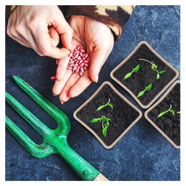 Paletki doniczek torfowych 3x4 15,5x11,5x5 cm biodegradowalne do rozsady zestaw 10 sztuk