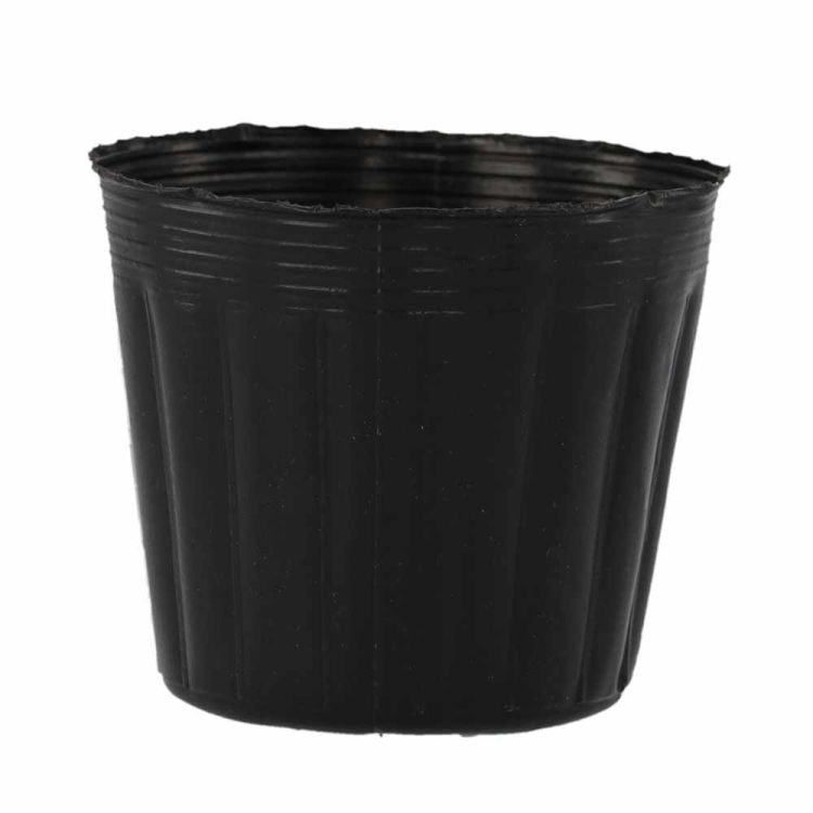 Doniczki do rozsady 7,5x6,7 cm z tworzywa ogrodniczego czarne zestaw 100 sztuk