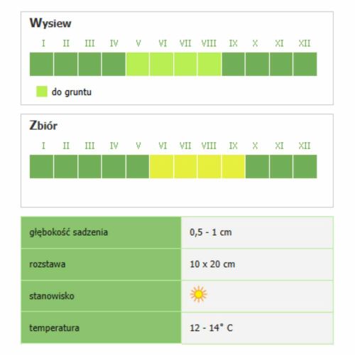 Rzodkiewka Smak & Zdrowie Riesenbutter nasiona do uprawy gruntowej