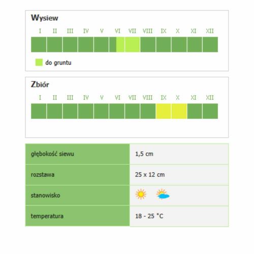 Rzodkiew czarna Smak & Zdrowie Murzynka nasiona do uprawy gruntowej