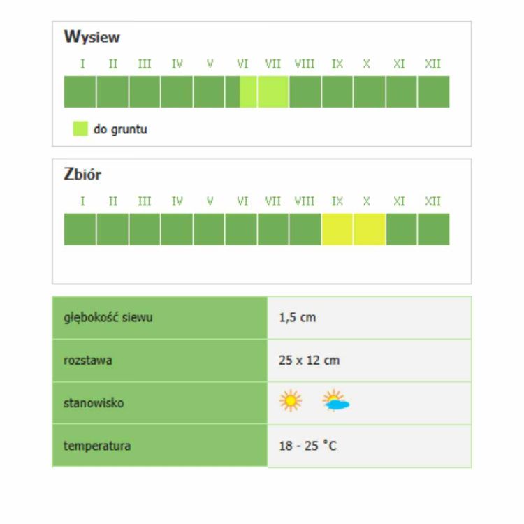 Rzodkiew czarna Smak & Zdrowie Murzynka nasiona do uprawy gruntowej