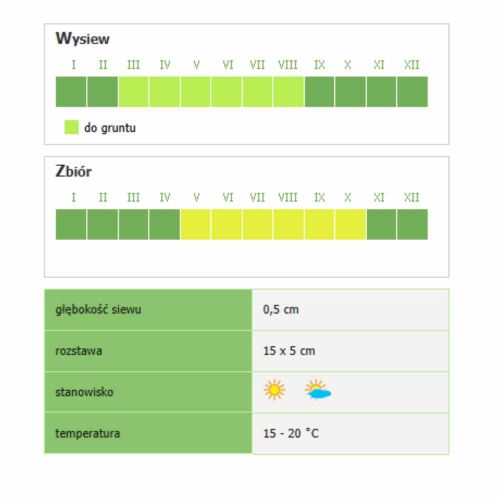 Rukola okrągłolistna Smak & Zdrowie nasiona do uprawy gruntowej