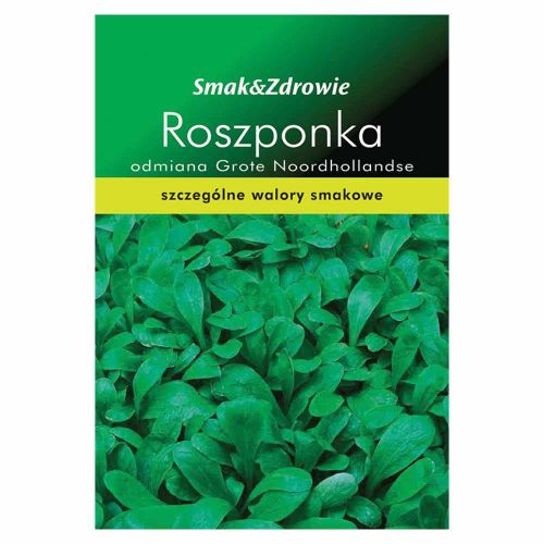 Roszponka Smak & Zdrowie Grote Noordhollandse nasiona do uprawy gruntowej