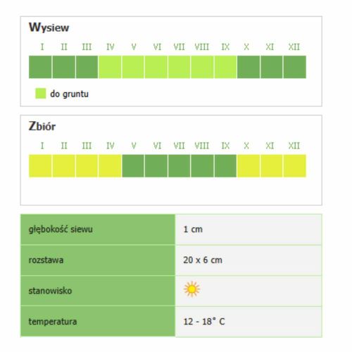 Roszponka Smak & Zdrowie Grote Noordhollandse nasiona do uprawy gruntowej