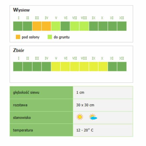 Sałata rzymska Smak & Zdrowie Paris White nasiona do uprawy gruntowej
