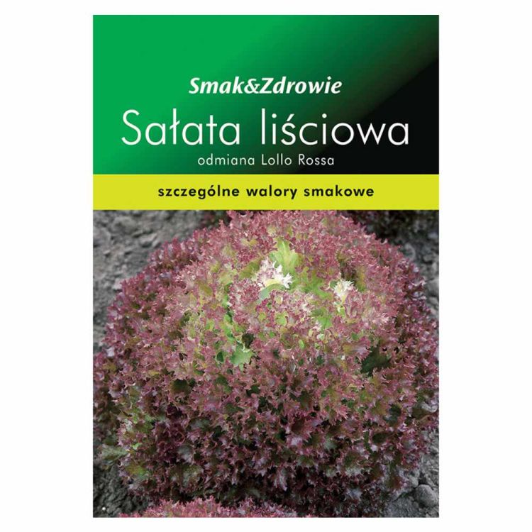 Sałata liściowa Smak & Zdrowie Lollo Rossa nasiona do uprawy gruntowej