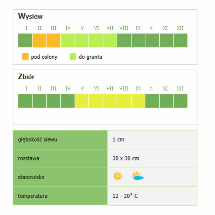Sałata dębolistna Smak&Zdrowie Red Salad Bowl nasiona do uprawy gruntowej – zdjęcie 2