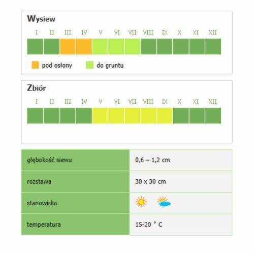 Sałata masłowa Smak & Zdrowie All the year round nasiona do uprawy gruntowej