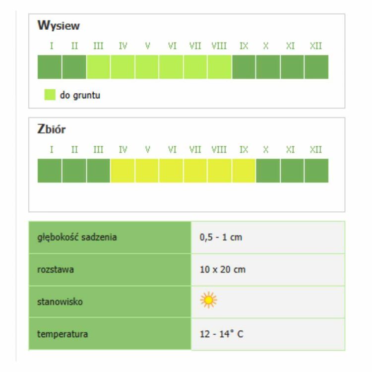Rzodkiewka Smak & Zdrowie French Breakfast 3 nasiona do uprawy gruntowej