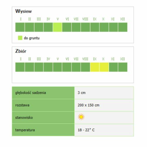Dynia olbrzymia Smak & Zdrowie Big Max nasiona do uprawy gruntowej