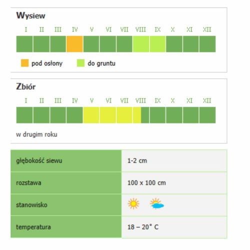 Rabarbar Lider nasiona Smak & Zdrowie Floraland