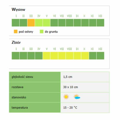 Pietruszka naciowa Smak & Zdrowie Moss Curled 2 Floraland nasiona
