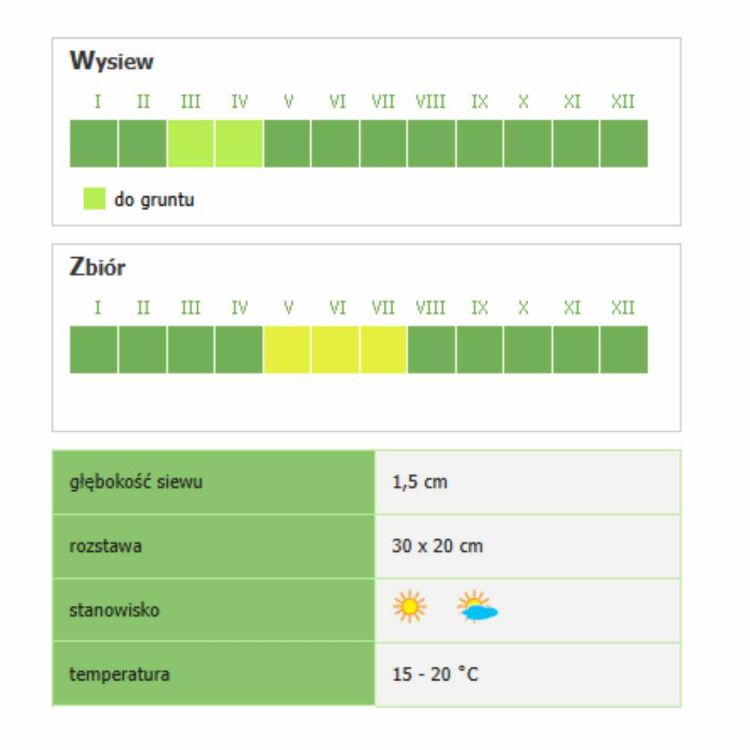 Cebula White Lisbon Smak & Zdrowie Floraland nasion