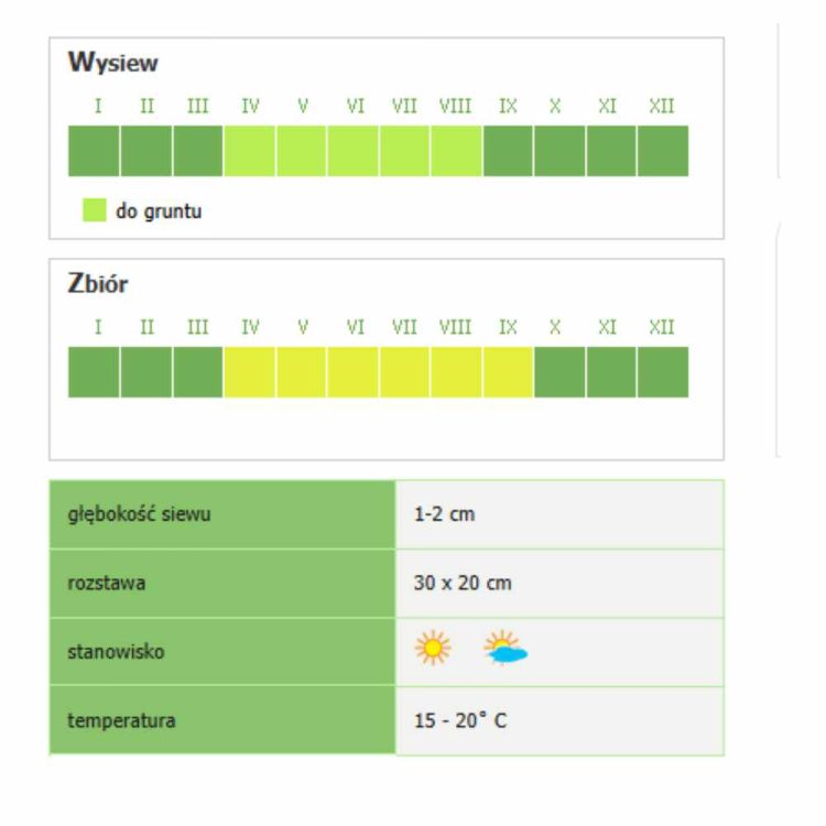 Cebula siedmiolatka Smak & Zdrowie Floraland nasiona na szczypior