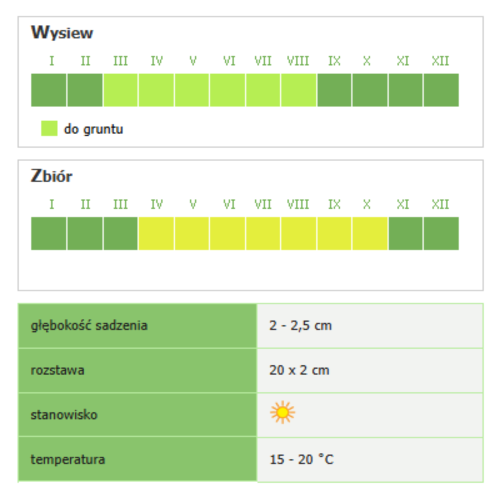 Koper Ambrozja – zdjęcie 2