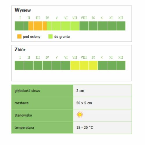 Nasiona fasola szparagowa Smak&Zdrowie Sonesta 100szt. karłowa żółta do gruntu