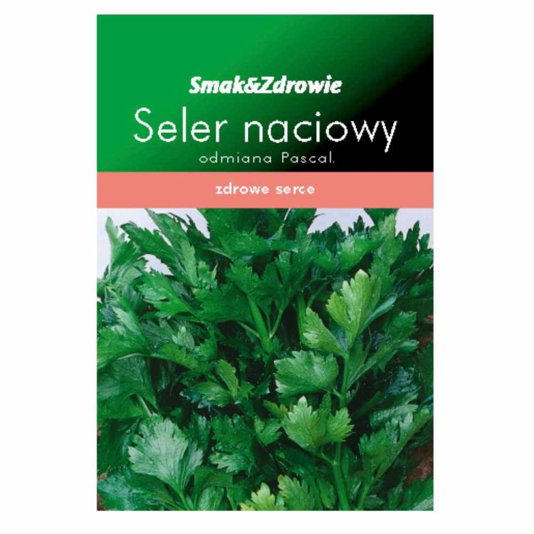 Nasiona seler naciowy Smak&Zdrowie Pascal 1000szt. średniopóźny do gruntu