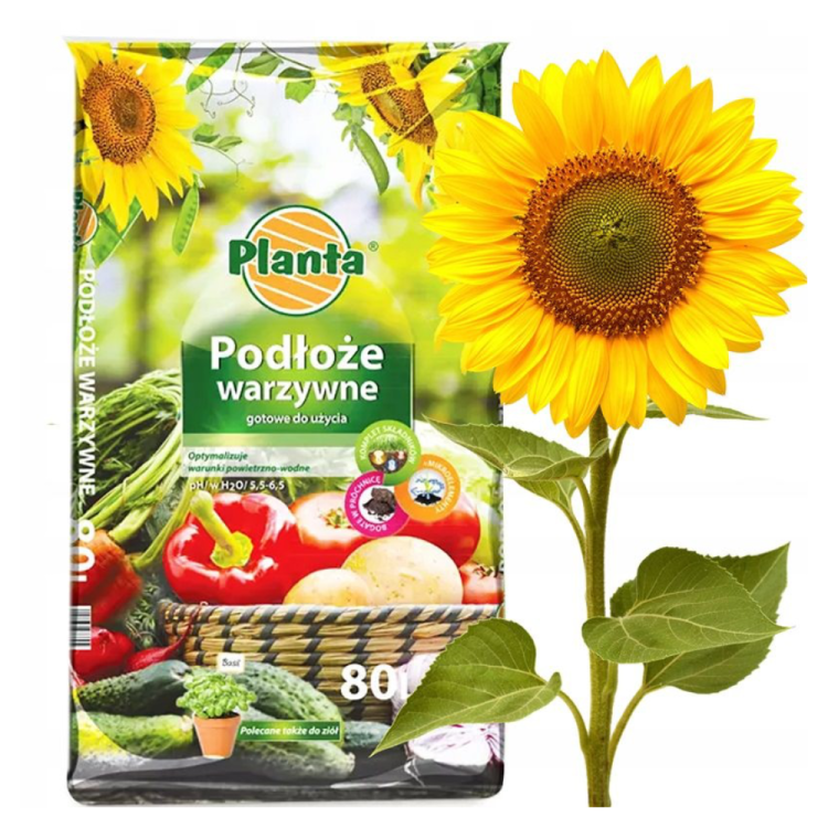 Podłoże do borówek Planta 50L kwaśna ziemia ogrodowa pH 3,5-4,5 – zdjęcie 2