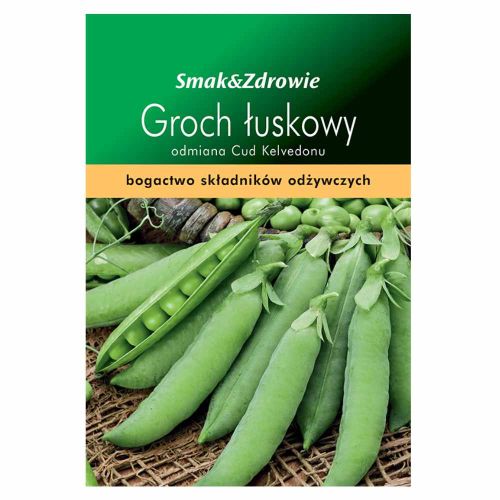 Groch łuskowy Smak&Zdrowie Cud Kelvedonu 120szt. nasiona do gruntu