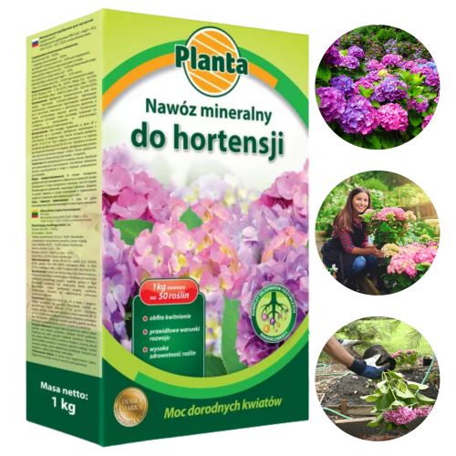 Nawóz mineralny Planta do hortensji 1kg granulowany NPK z mikroelementami – zdjęcie 1
