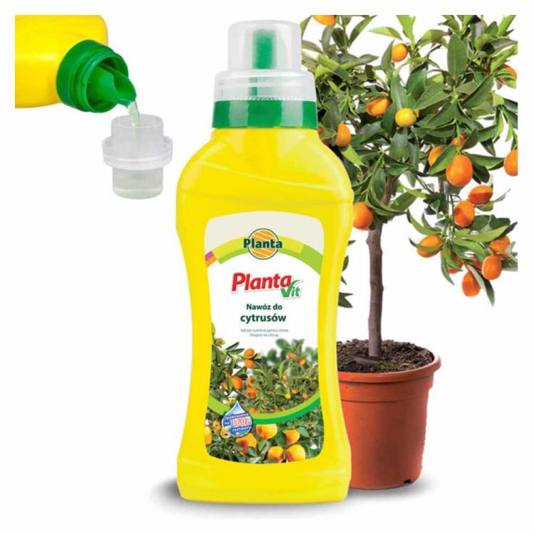 Nawóz do cytrusów Planta Planta Vit 400ml do 160l roztworu