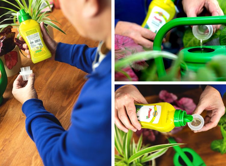 Nawóz do cytrusów Planta Planta Vit 400ml do 160l roztworu