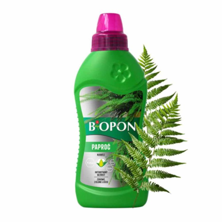 Nawóz paprocie płynny 500ml mikroelementy rośliny zielone – zdjęcie 2