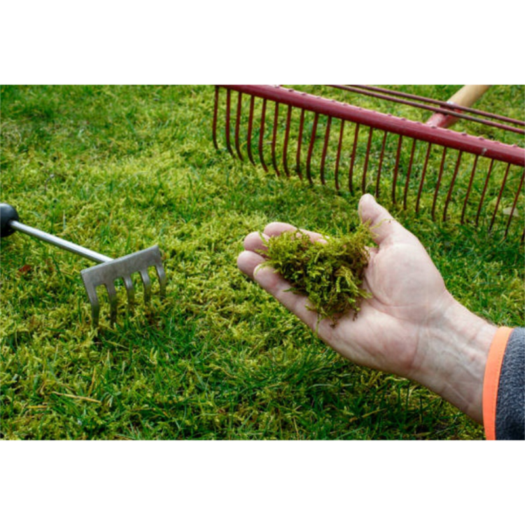 Nawóz do trawnika Ogród Start Żelazo Antymech 1kg granulowany interwencyjny – zdjęcie 3