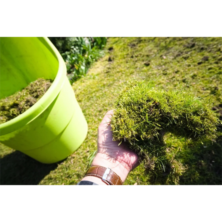 Nawóz do trawnika Ogród Start Żelazo Antymech 1kg granulowany interwencyjny – zdjęcie 4