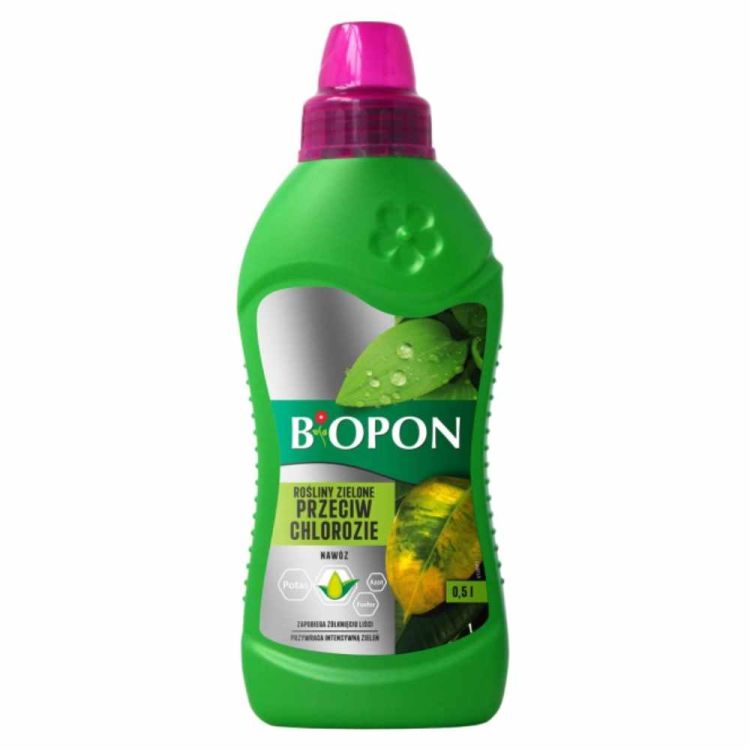 Nawóz do roślin zielonych przeciw chlorozie Biopon 500ml z żelazem