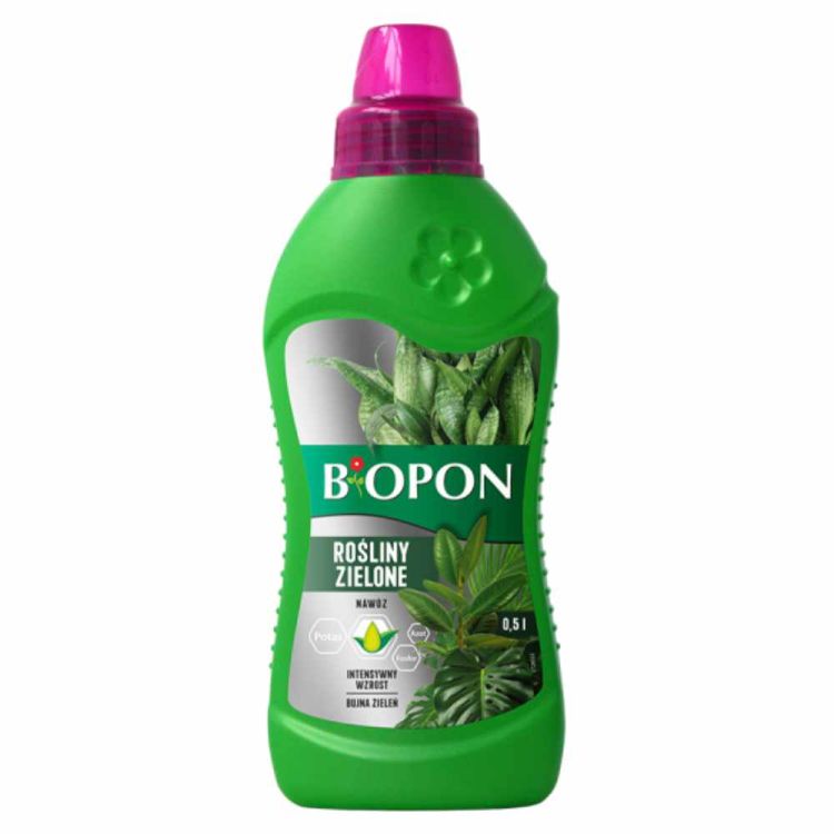 Nawóz do roślin zielonych Biopon płynny 500ml do liści ozdobnych