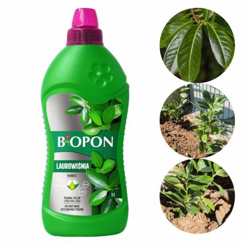 Nawóz do laurowiśni Biopon 1l płynny mineralny do podlewania
