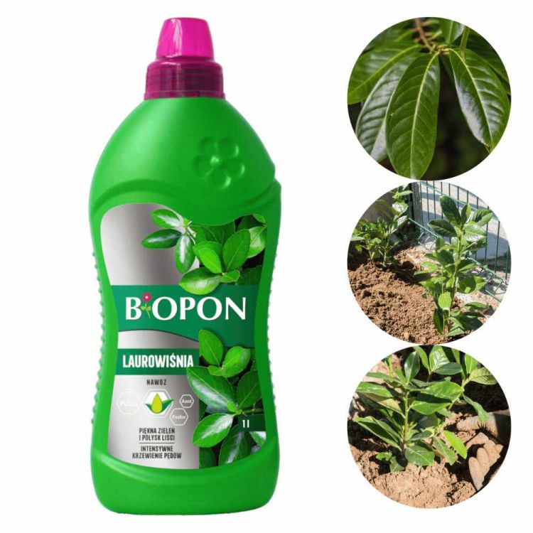 Nawóz do laurowiśni Biopon 1l płynny mineralny do podlewania