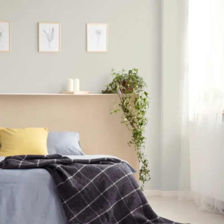 Farba lateksowa Beckers Simple Boheme 2,5L plamoodporna do ścian i sufitów