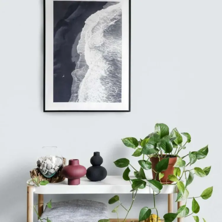 Farba lateksowa Beckers Designer Colour Silver Pearl 2,5L plamoodporna matowa do ścian i sufitów