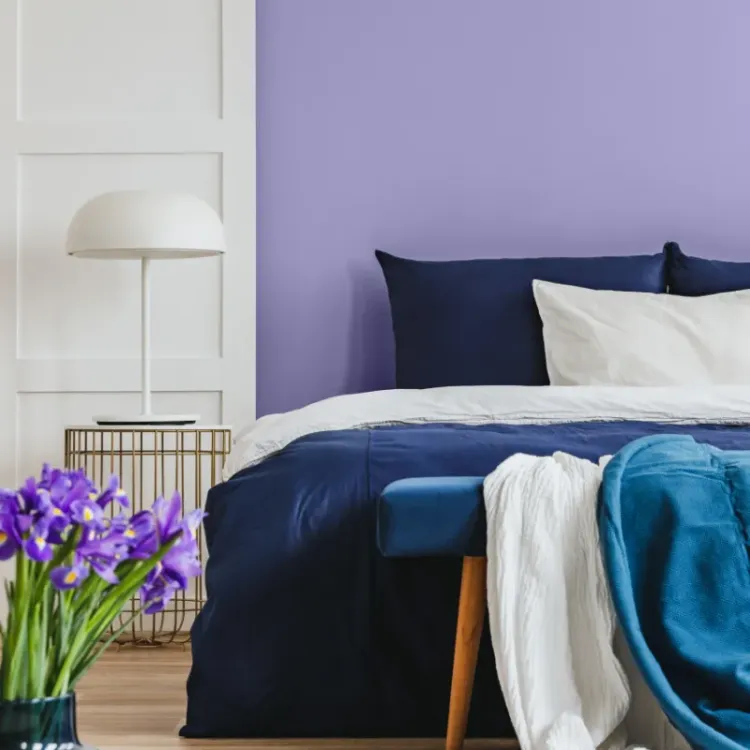 Farba lateksowa Beckers Designer Colour Crocus Violet 2,5L plamoodporna matowa do ścian i sufitów