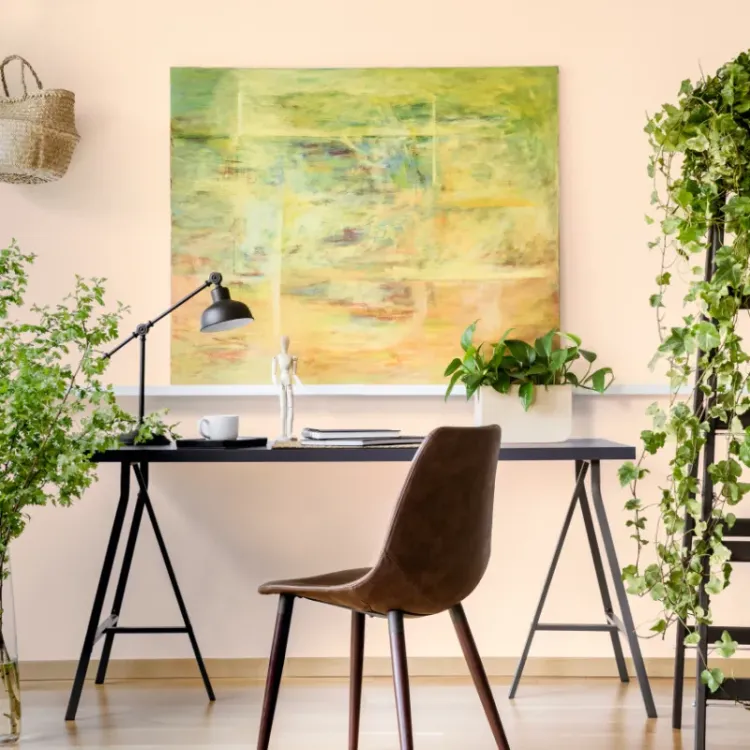 Farba lateksowa Beckers Designer Colour Apricot 2,5L plamoodporna matowa do ścian i sufitów