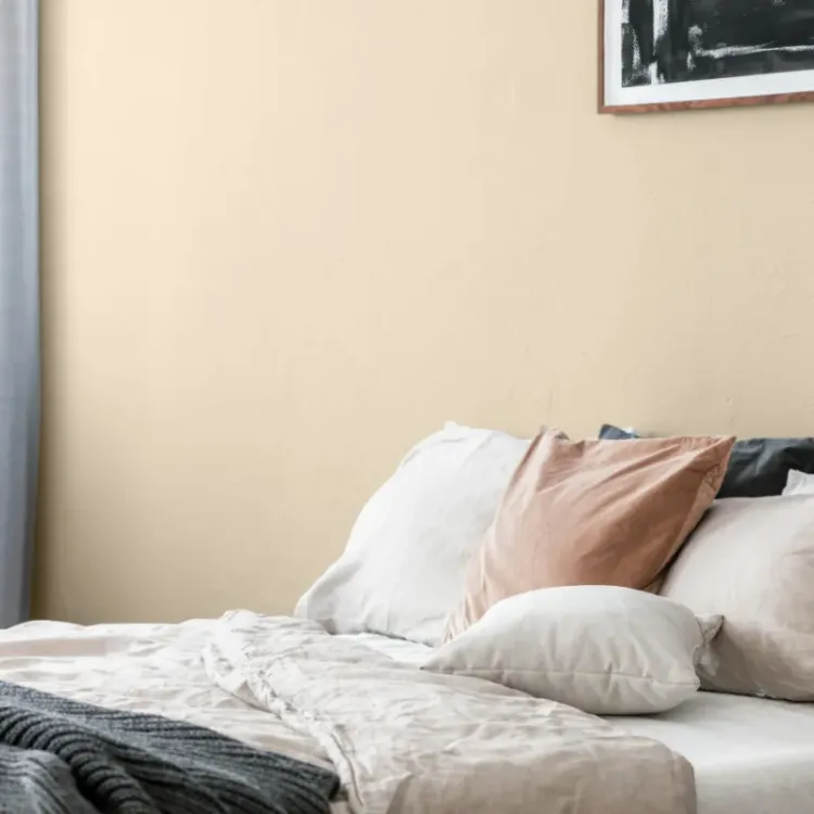 Farba lateksowa Beckers Designer Colour Cappuccino 2,5L plamoodporna matowa do ścian i sufitów