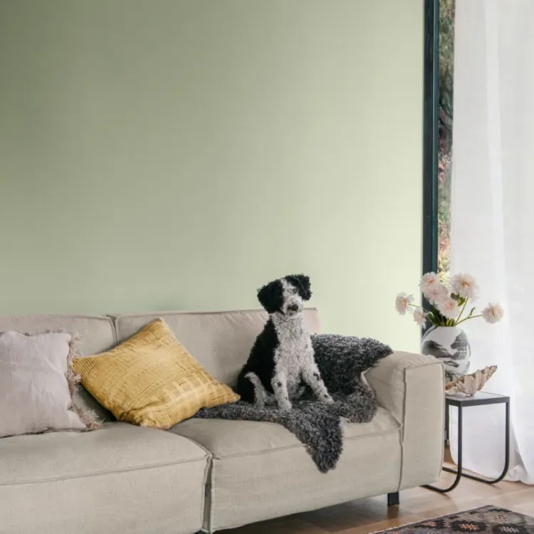 Farba lateksowa Beckers Designer Colour Pear 2,5L plamoodporna matowa do ścian i sufitów