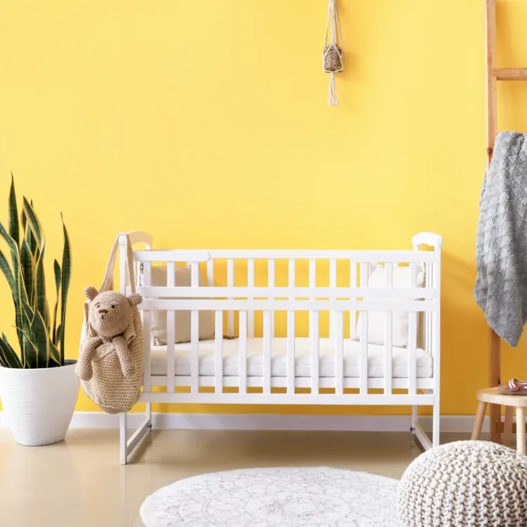 Farba lateksowa Dekoral Moc Koloru Słoneczny Blask 2,5L ściany sufit mat