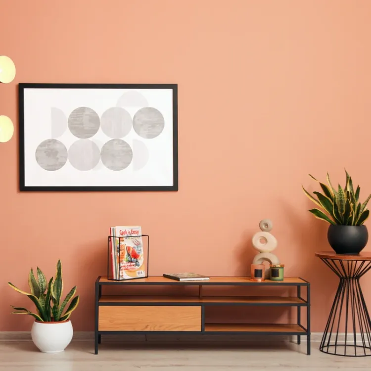 Farba lateksowa Dekoral Moc Koloru Morelowy Krem 2,5L ściany sufit mat