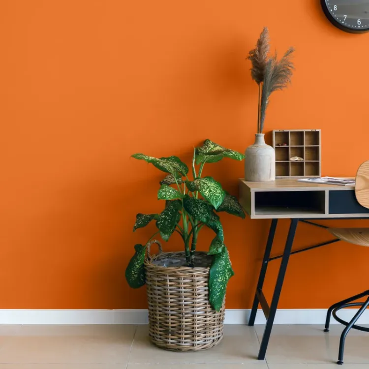 Farba lateksowa Dekoral Moc Koloru Tutti-Frutti 2,5L ściany sufit mat