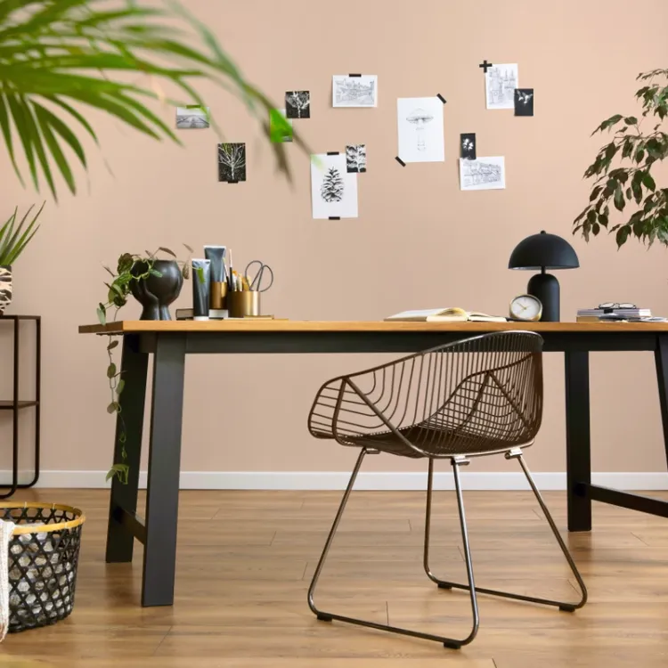 Farba lateksowa Dekoral Moc Koloru Latte Macchiato 5L ściany sufit mat