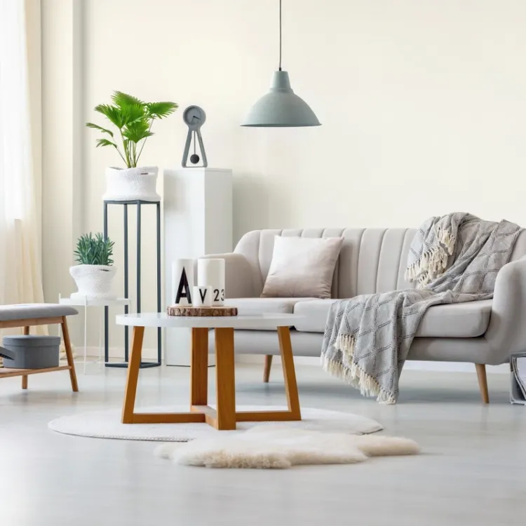 Farba lateksowa Dekoral Moc Koloru Kwiat Wiśni 5L ściany sufit mat