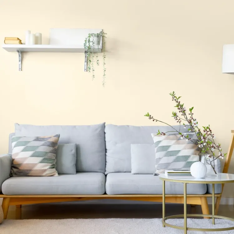 Farba lateksowa Dekoral Moc Koloru Bita Śmietana 5L ściany sufit mat