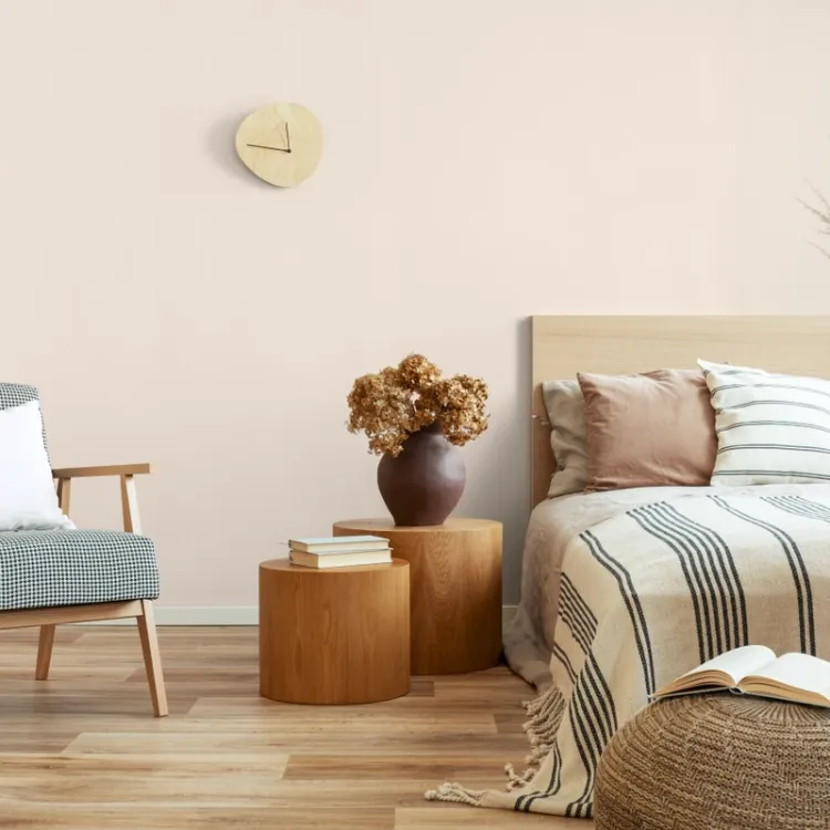 Farba lateksowa Dekoral Moc Koloru Ecru 5L matowa do ścian i sufitów odporna na szorowanie do wnętrz