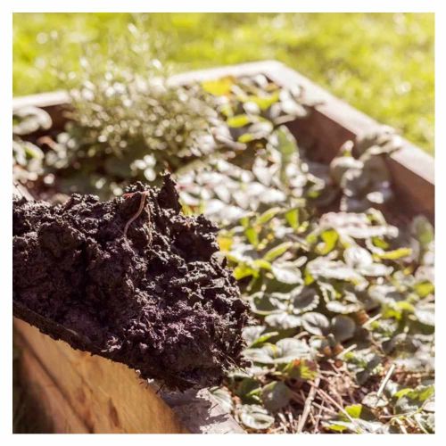 Aktywator kompostu Ogród Start Kompost Garden 800g do kompostownika