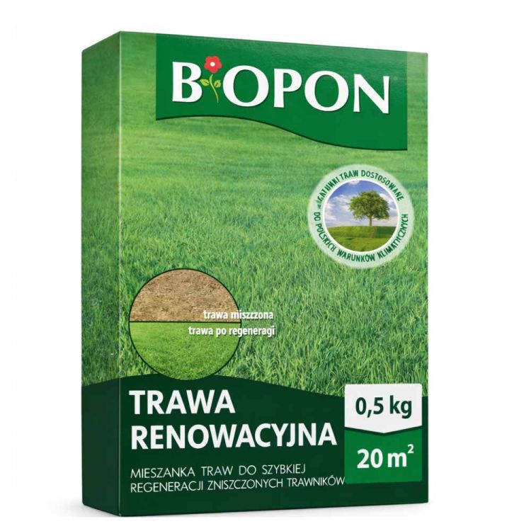 Nasiona trawy Biopon Trawa renowacyjna regeneracja trawnika 0,5kg